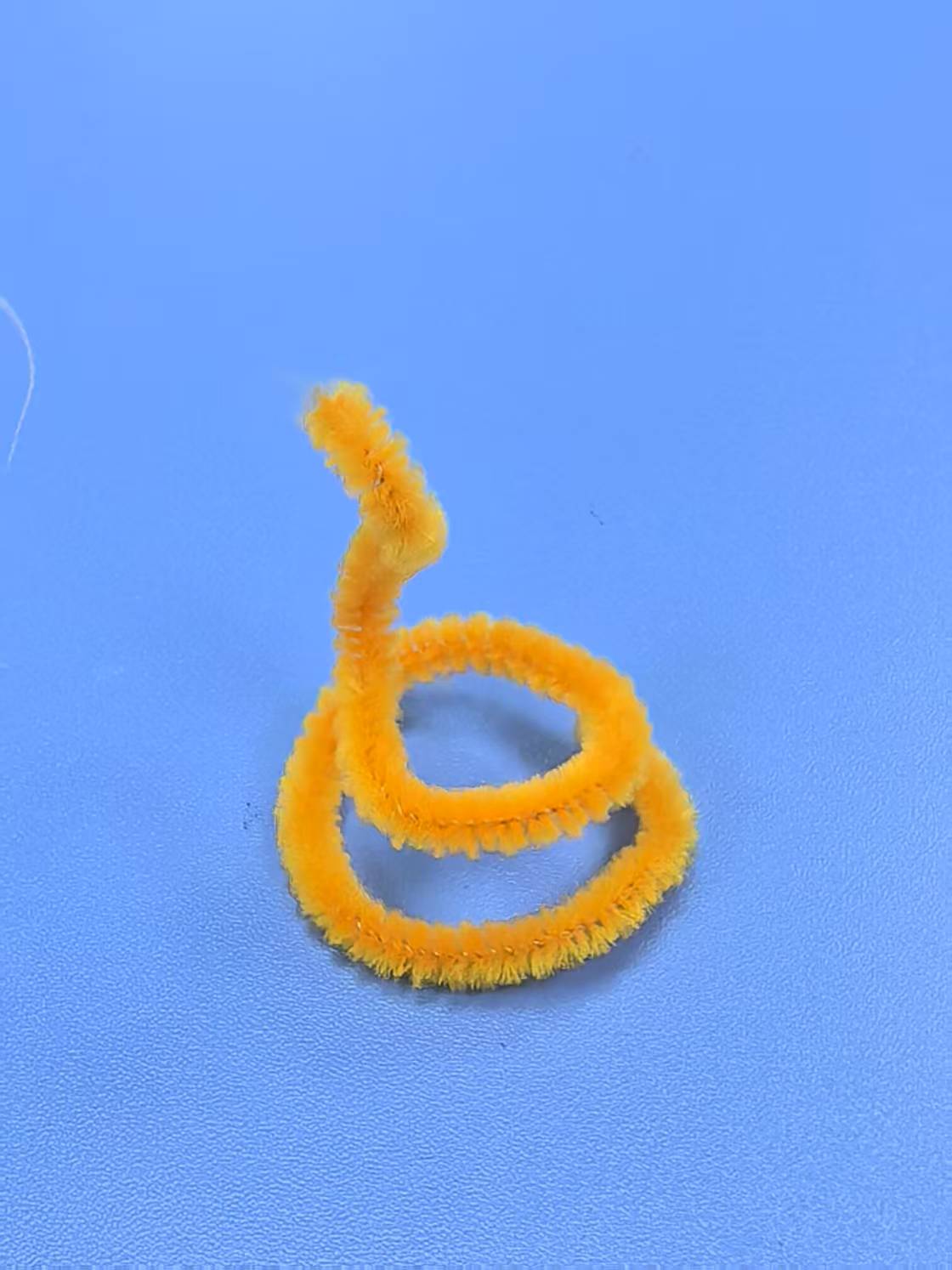 科学工作坊——蛇年特别活动