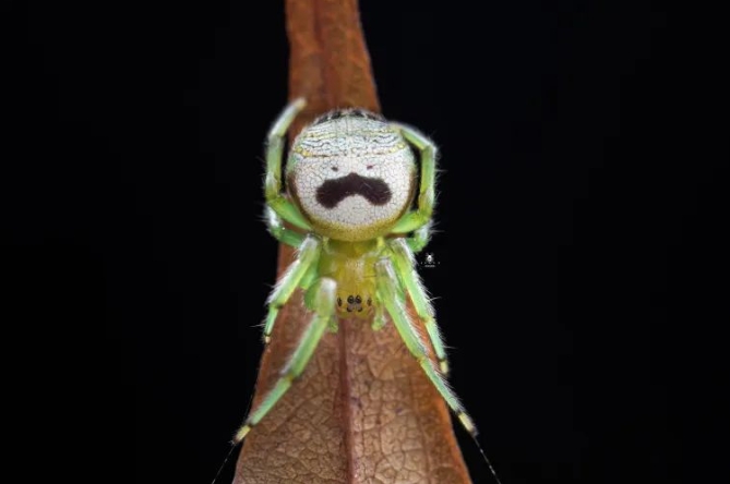 “微观·生命”摄影展