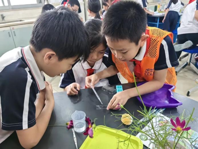 新春主题活动：年花连连看