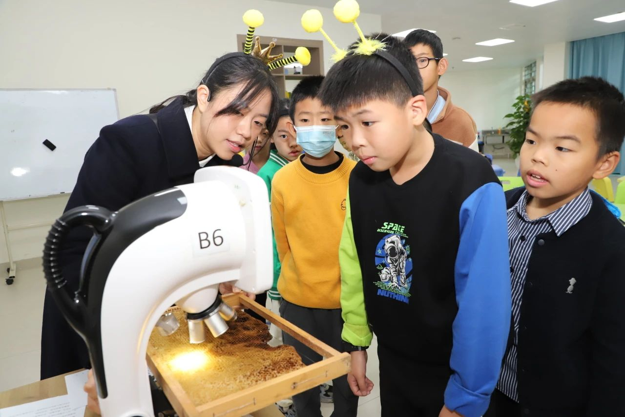 “探‘蜜’蜂巢”科普课堂