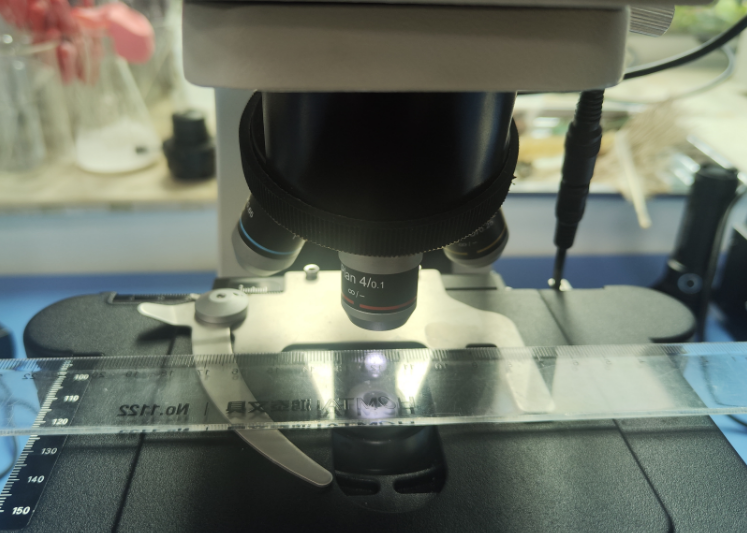 科学工作坊——测量浮游生物的大小