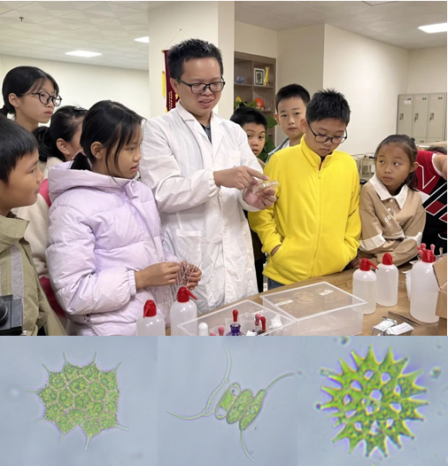 科学工作坊——探秘湖水中的小生灵