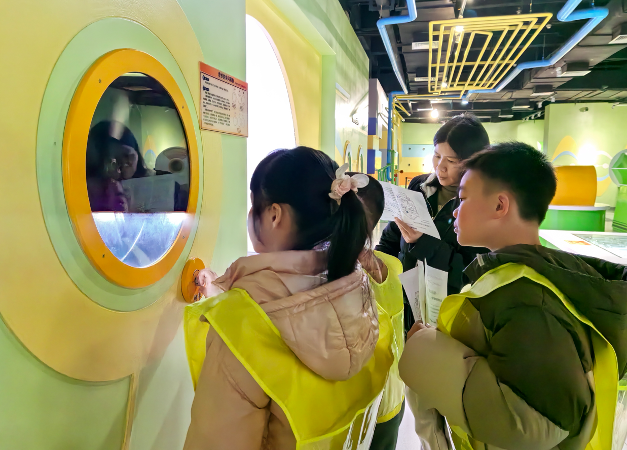 研学工作坊——探究人体总司令