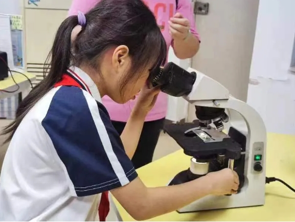 “探秘春天里的植物”STEM活动