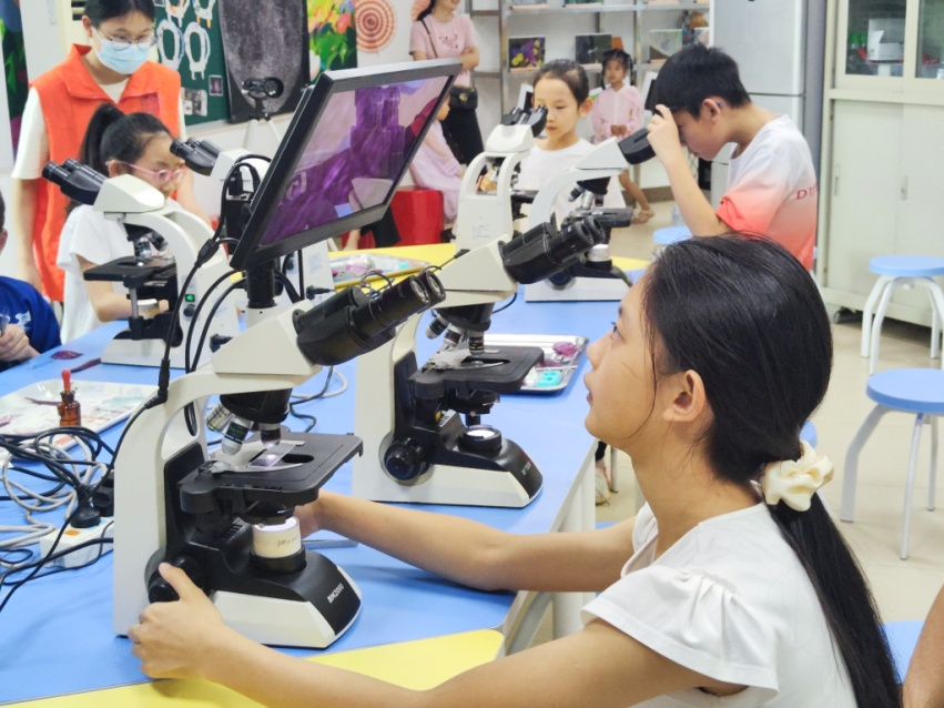 研学工作坊——夏叶的秘密