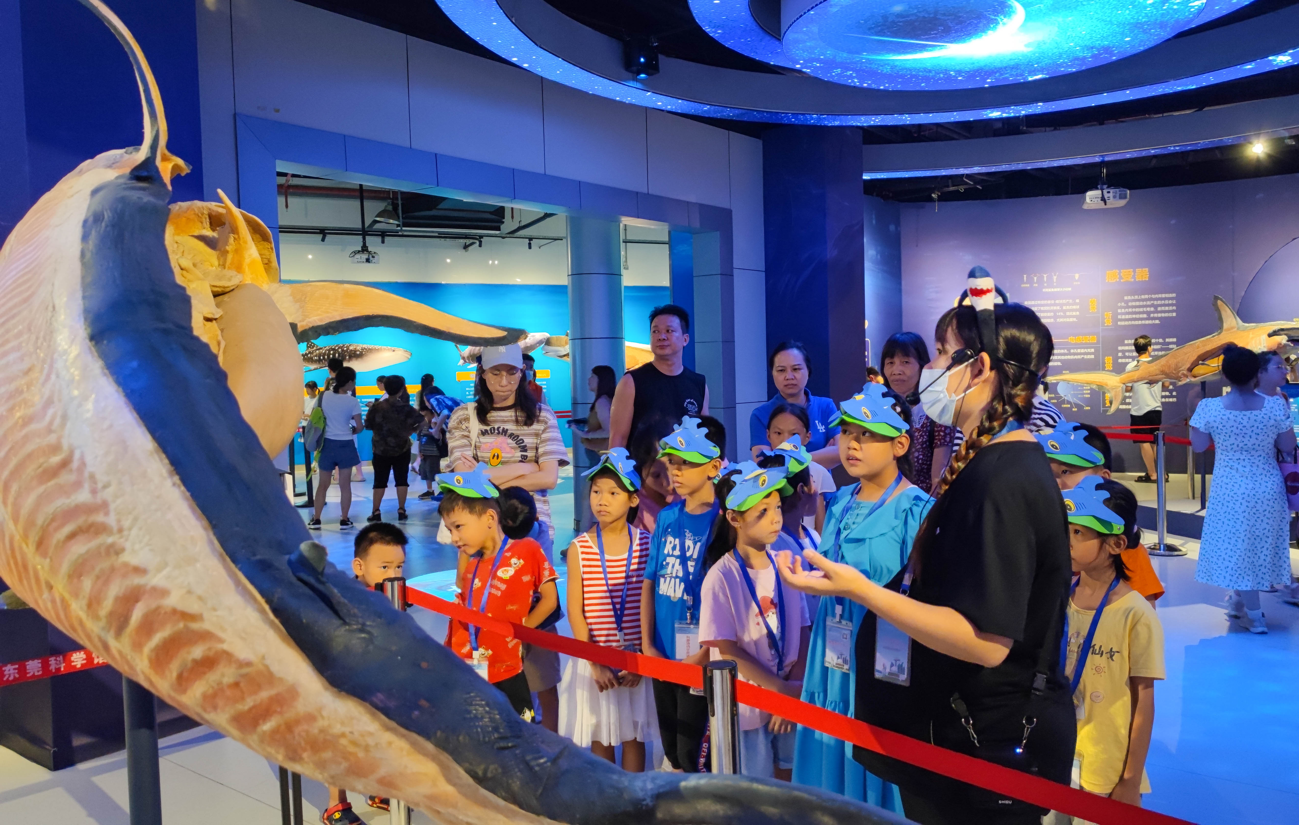 鲨鱼的神秘第六感