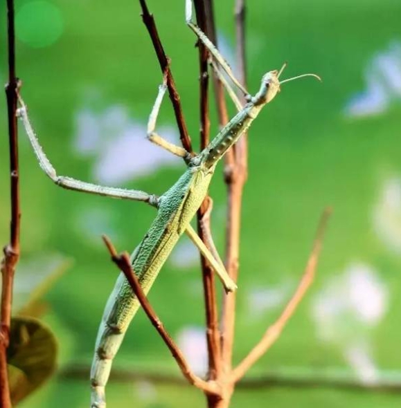 AIGC主题海报设计