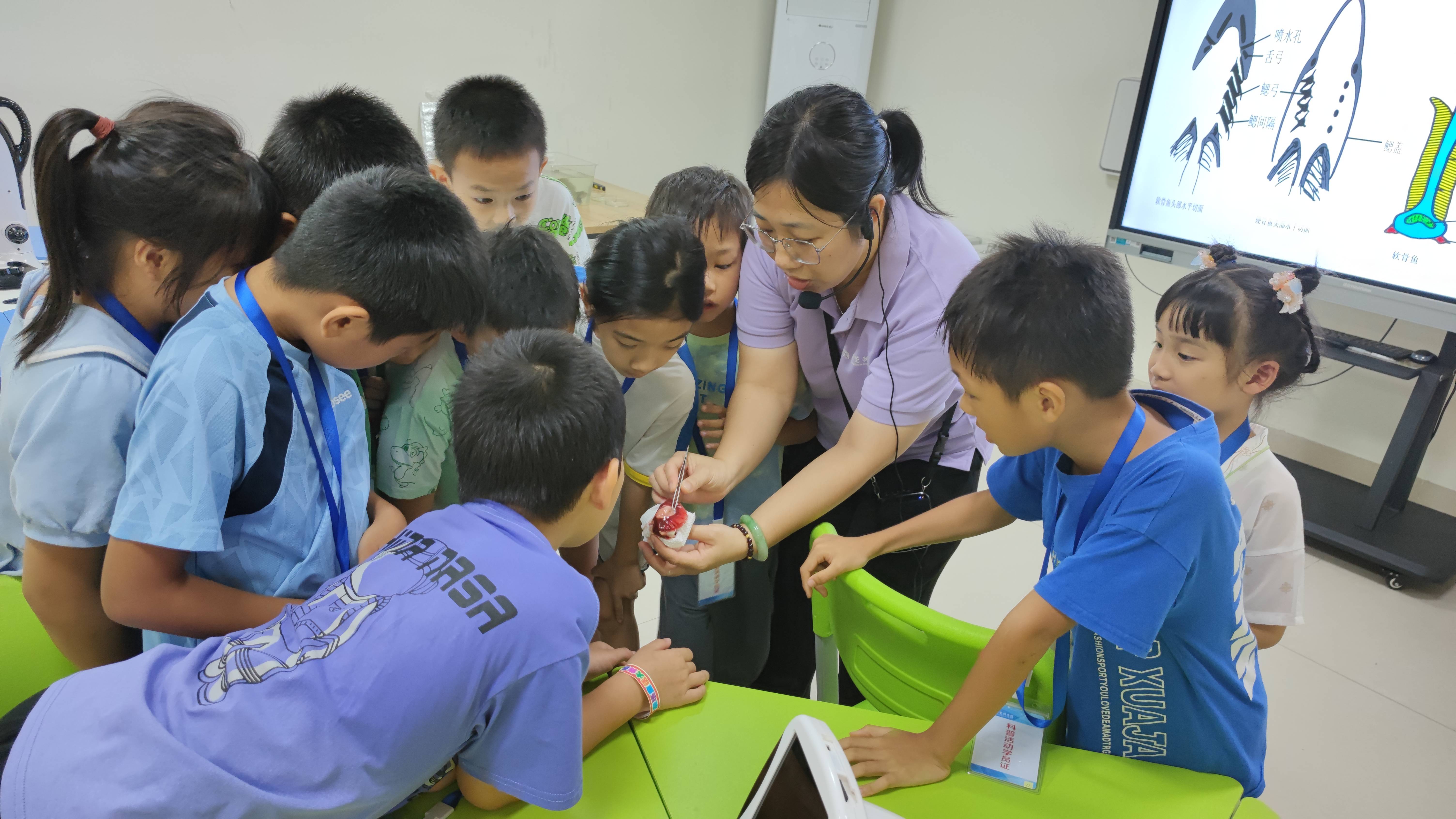 鱼儿呼吸的秘密