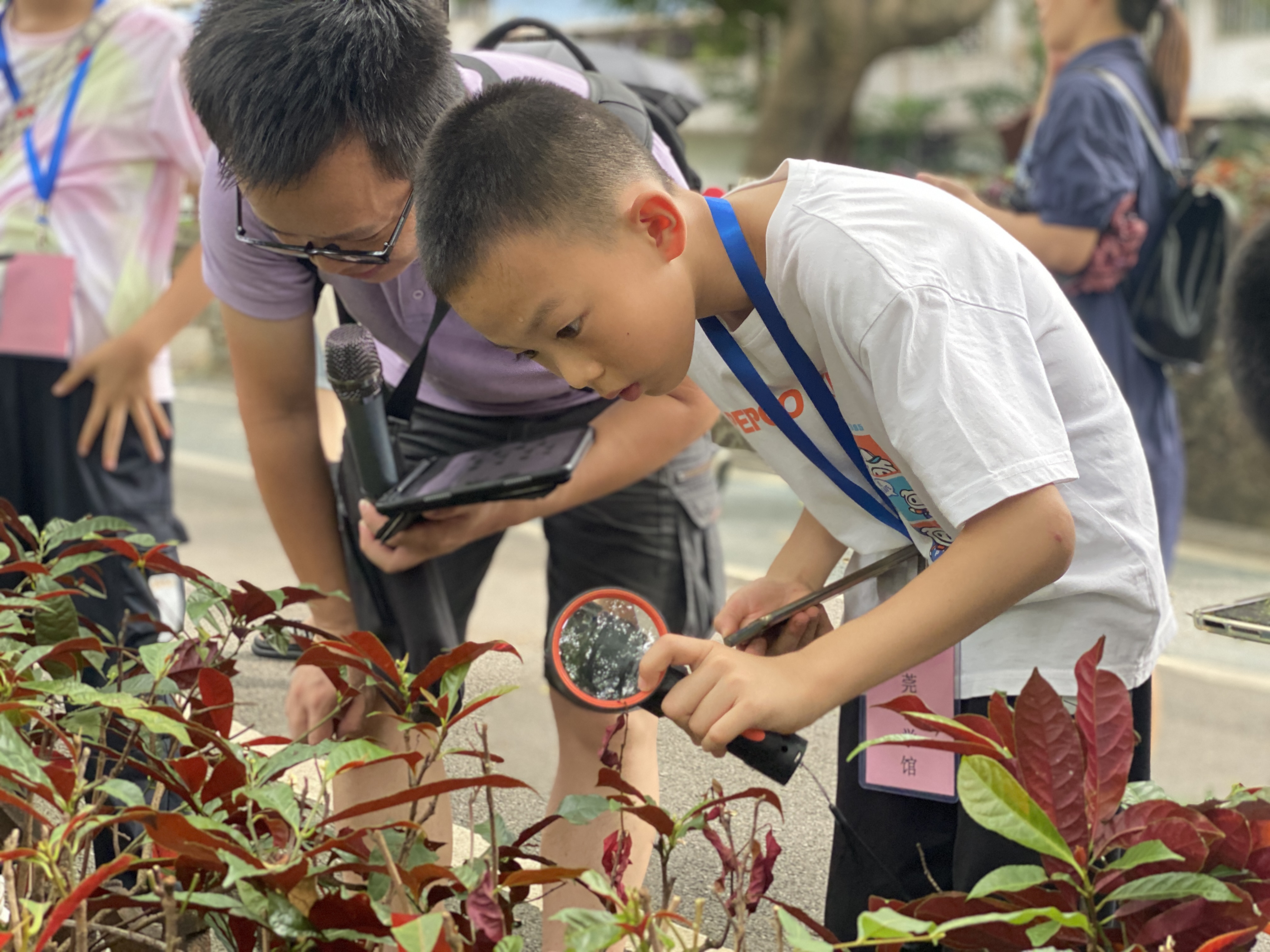 探秘秋天里的植物