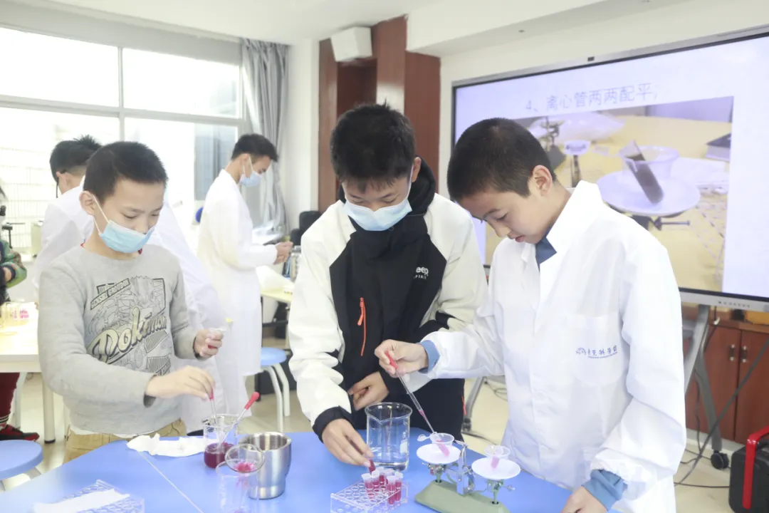 植物叶绿素的提取